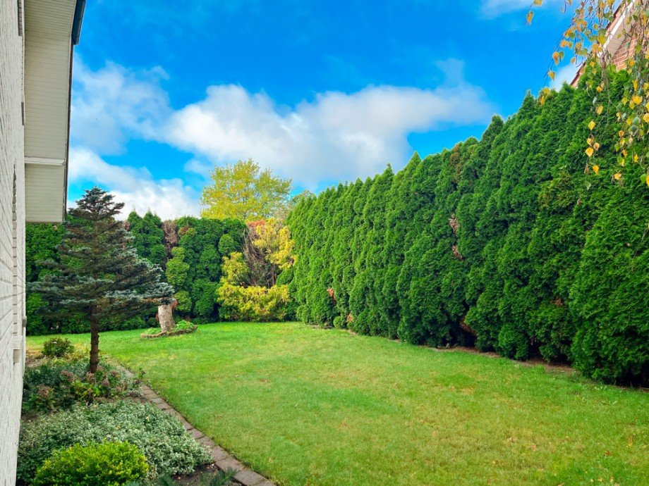 Garten Einfamilienhaus Hatten