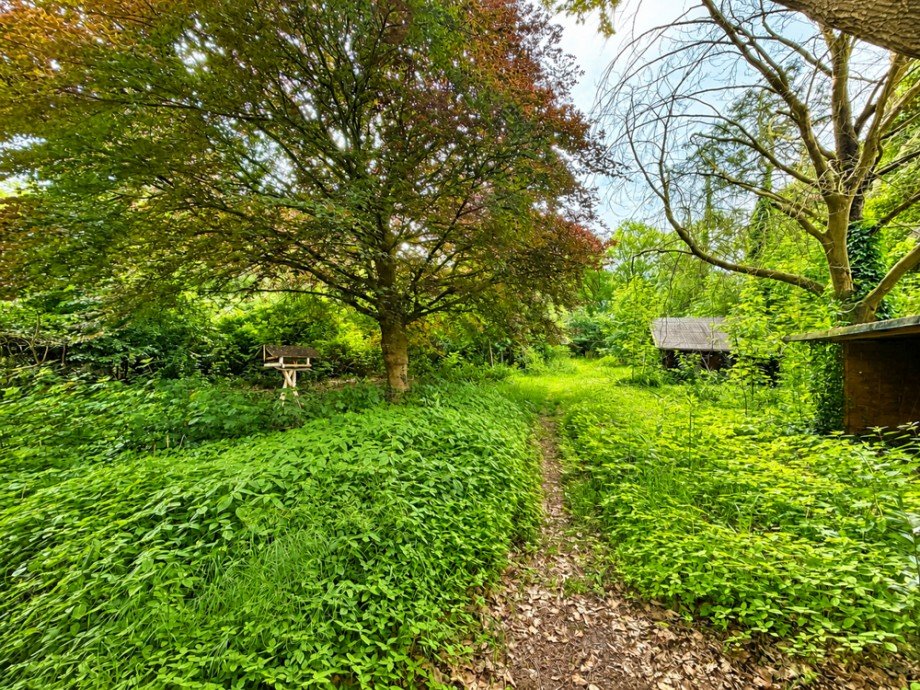Garten Einfamilienhaus Wardenburg