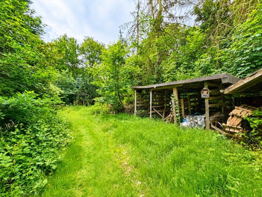 Garten Einfamilienhaus Wardenburg