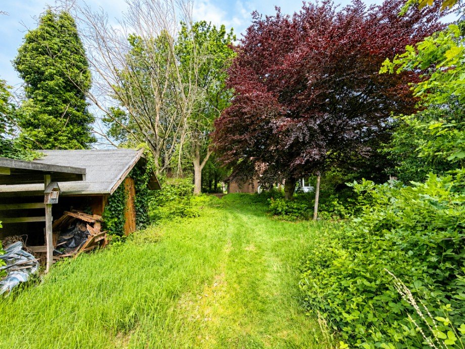 Garten Einfamilienhaus Wardenburg