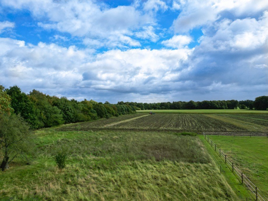 Weidenfl�che Resthof Oldenburg (Oldenburg) / Donnerschwee