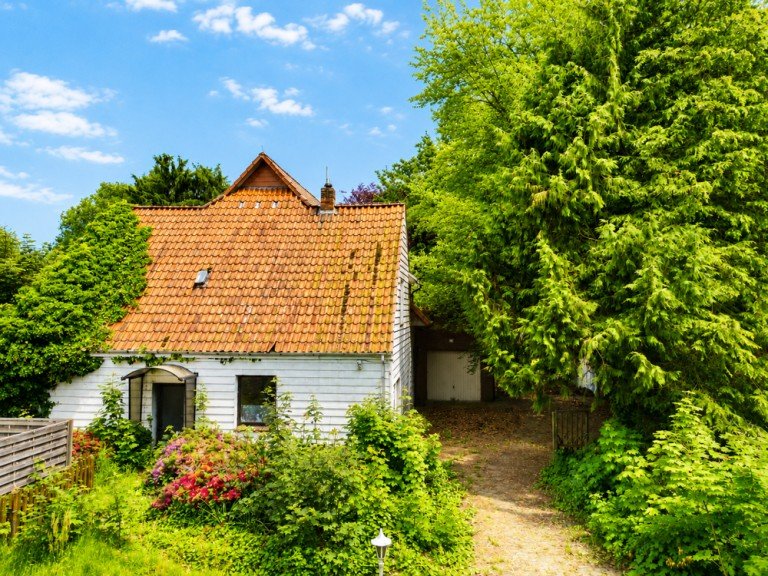 Au�enansicht Wardenburg Einfamilienhaus Sanierungsbed�rftiges Wohnhaus mit viel Potenzial auf gro�z�gigem Naturgrundst�ck!