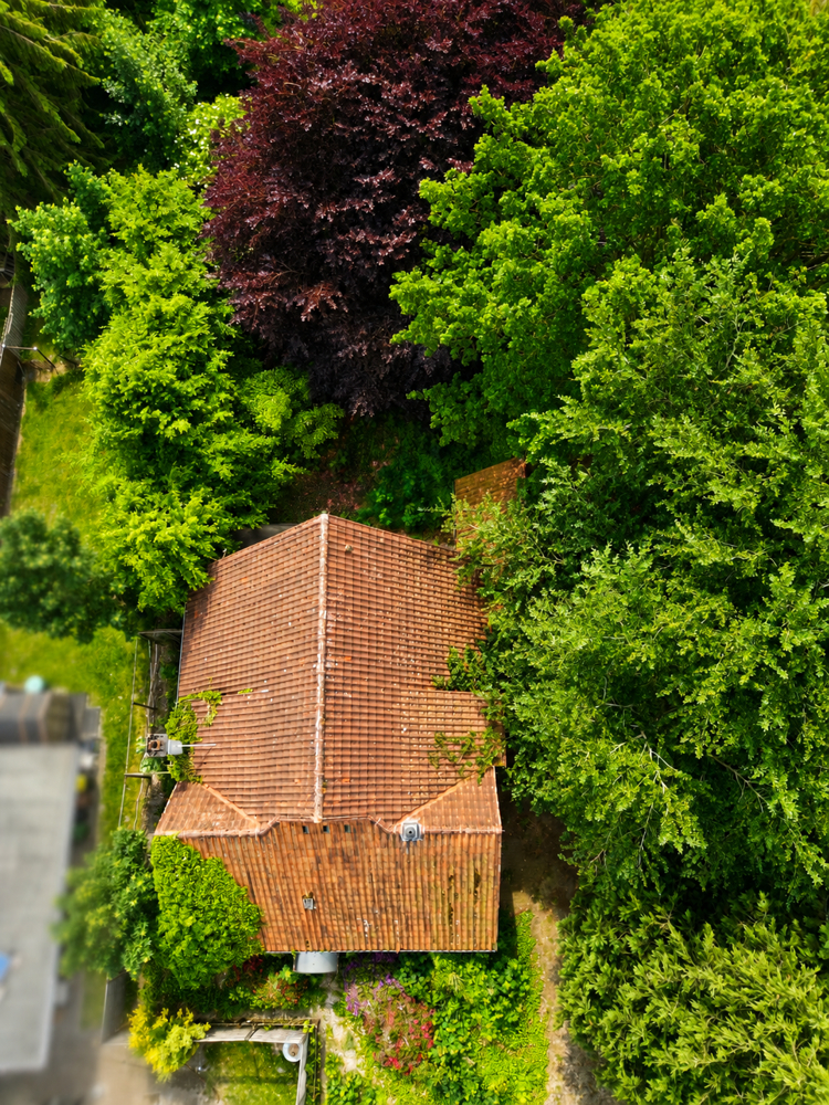 Vogelperspektive Einfamilienhaus Wardenburg