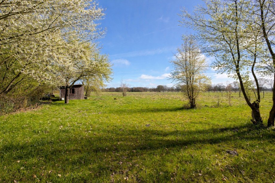 Weidenfl�che Resthof Oldenburg (Oldenburg) / Donnerschwee